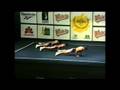 Sportsaerobics Brasil Trio Cassio,Gelson,Sidnei
