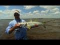 Wading For Treasure - TROUT & SNOOK fishing