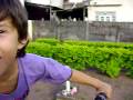 videos de Vitinho - Tombo De Bicicleta