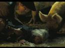 a slide show about james norrington dealing with elizabeth swann's rejection and choosing will turner instead of him. only in this video, elizabeth has realized her mistake and tries to return to james wishing for him to take her back. not only does she find he doesn't want her back, but he has decided she's a silly brat who can't seem to make up her mind about what man she wants. will turner, (also being childish) decides to taunt norrington midway through the slide show and discovers what a bad idea that was. enjoy!!