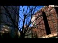 Judge Issues Order To Evict Remaining Occupy Pittsburgh Members