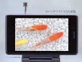 SoftBank 912SH TVCM