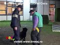 antrenament Belgia 4_HD_1080p_youtube.mp4