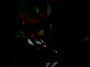 2007.10.13 OUTPUT?VJ BETALAND