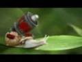 videos de Transformers.3gp