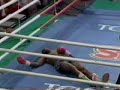 Julian Jackson KO's Herol Graham