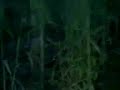 fantasma 4107 fantasma 4107