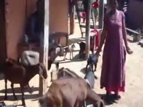 See video