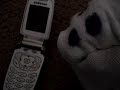 Pete The Puppet Does Txt Mssg Brkup
