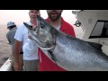 Lake Ontario Salmon Fishing (July 2011)