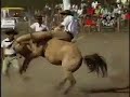 Gineteada