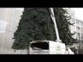 Cheney's Official Christmas Tree