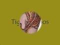 Beautiful Tiger Tattoos.wmv