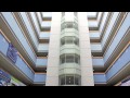 Binus University.mov