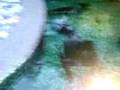 TLkmDN's LAST vid of pond b4 renovations!
