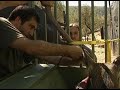 Ver vídeo