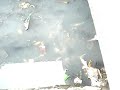 MOV05260.MPG