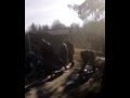 Accident camion