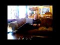John Traxler (VIDEO_092.mp4)