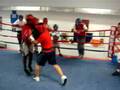 chicago youth boxing