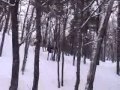 Bohemia March 2005_part1