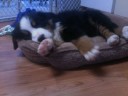 Day 1: Louie finally arrives home and promptly passes out