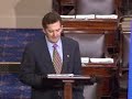 DeMint Speech -- Sarbanes-Oxley Reform