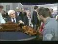 Amazing-Tank-Model