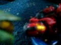 halo 3 The Last Stand