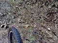 Mongoose electric bike in action (1) Mongoose electric bike in action (1)