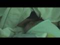Nacimiento de Nichito - Echoes Nick Movie