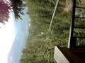 videos de more zipwire