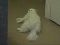 videos de Neville is boring
