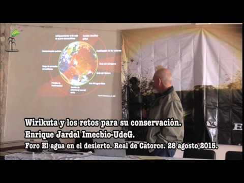 Imagen de previsualización de YouTube