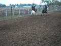 videos de Sodas Cowboy, started heal horse