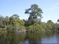 Along the Little Manatee River, Ruskin Florida