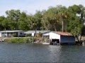 Along the Little Manatee River, Ruskin Florida