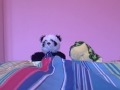 webkinz lil\