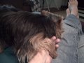 Yahtzee Begging Yahtzee Begging