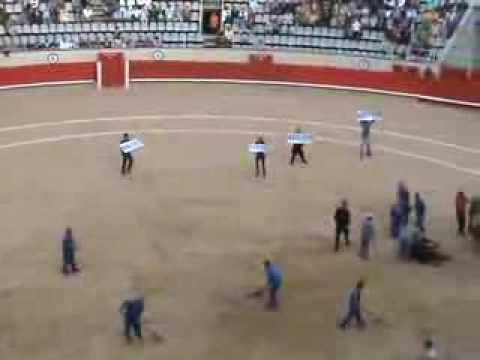 See video See video