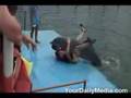 seaworld