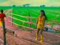 Yam Yasothorn แหยม ยโสธร music