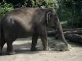 The Epic Zoo
