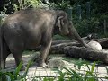 The Epic Zoo