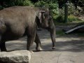 The Epic Zoo