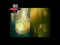 Amusement Parks On Fire - Blackout