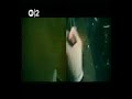 Amusement Parks On Fire - Blackout