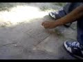 Teoria de Anderson 2.mp4