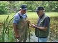 UMBS Centennial - part 1 of 4