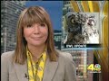 Smokey the Owl.mp4 Smokey the Owl.mp4